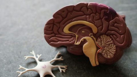 lateralno mišljenje