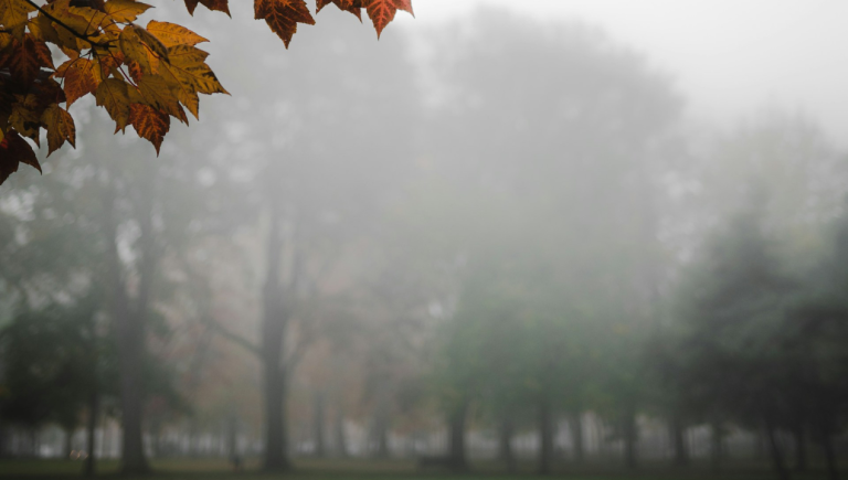 pomanjkanje vitamina D