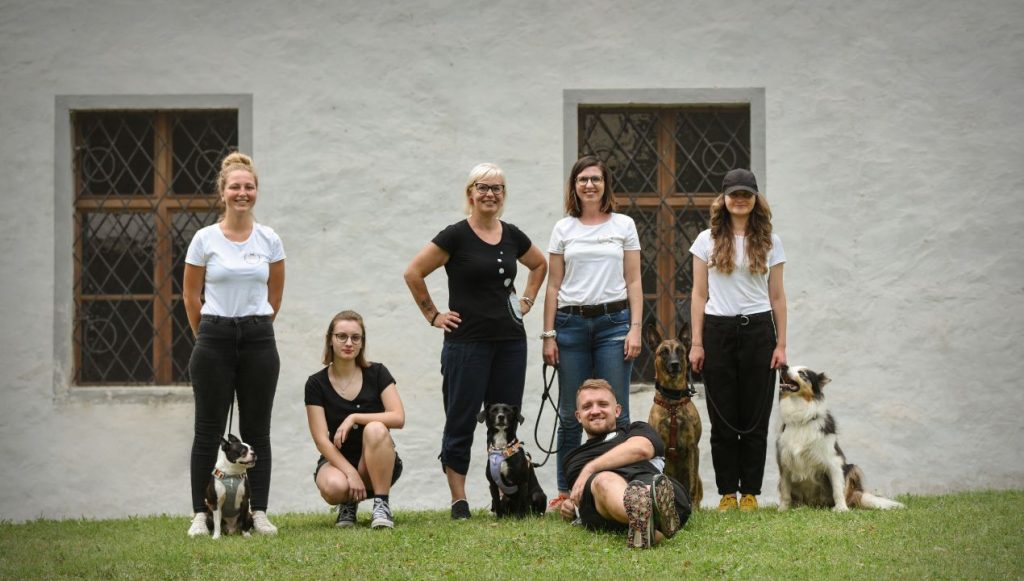 Pet House SONNY (Foto: Hana Lah photography)