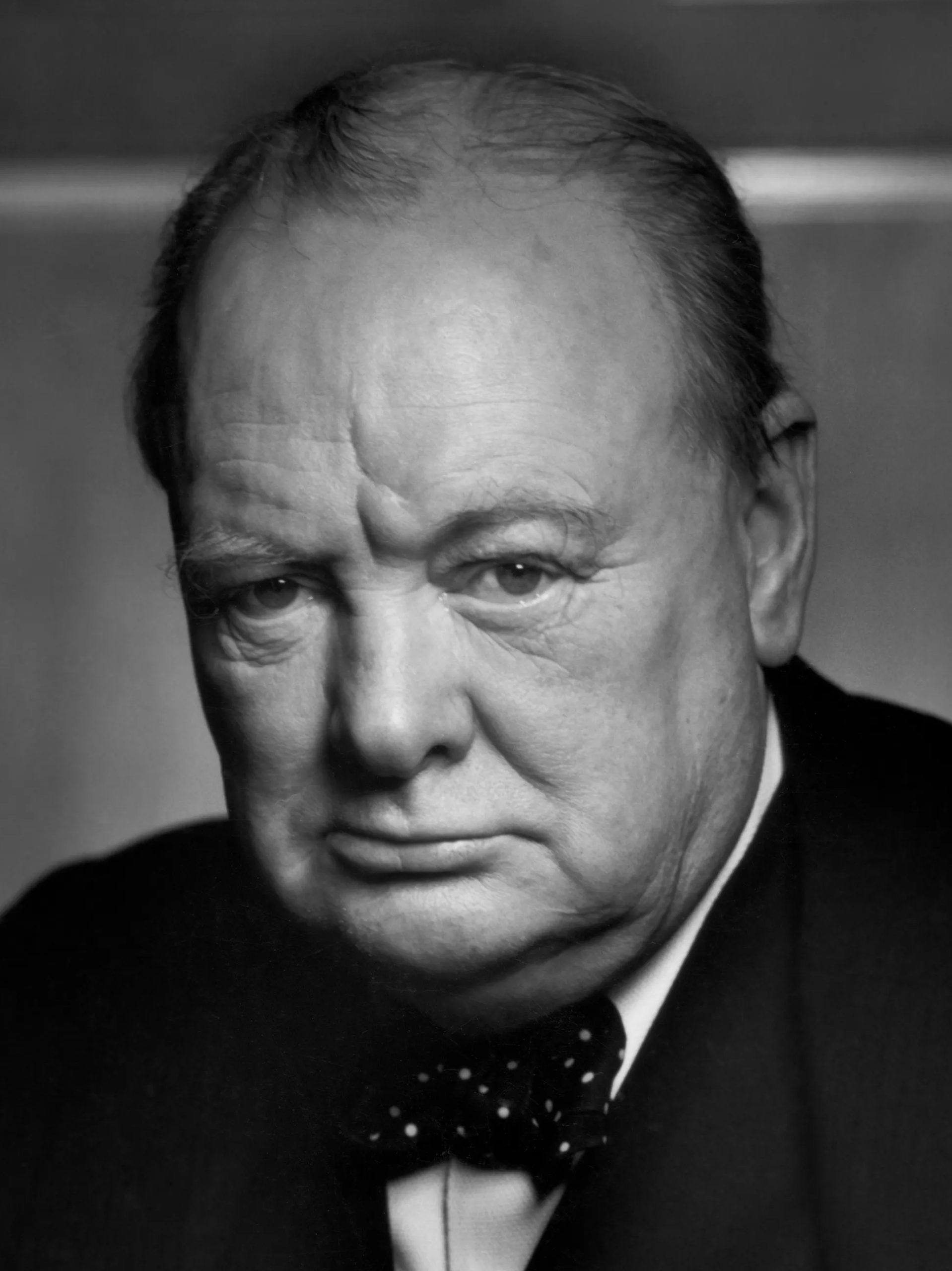 Sir Winston Churchill (3x4 cropped), avtor Yousuf Karsh, (vir: Wikimedia Commons, licenca CC BY 2.0).