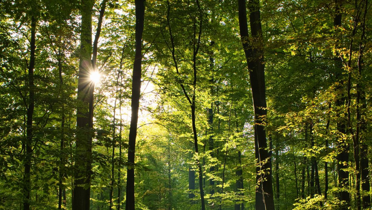 Fotografija je simbolična. (Foto: wirestock/Freepik)