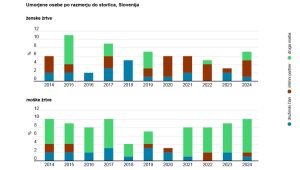 nasilje nad ženskami umor 1