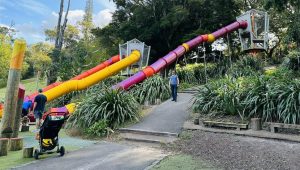 noseča nova zelandija