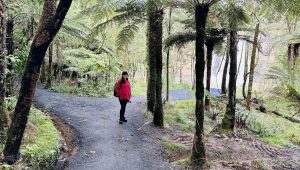 noseča nova zelandija