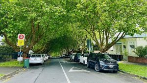 slovenka nova zelandija