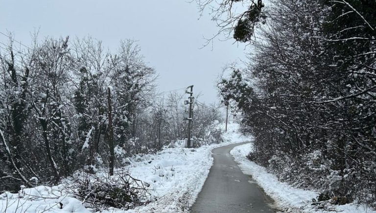 Izpad elektrike v Halozah