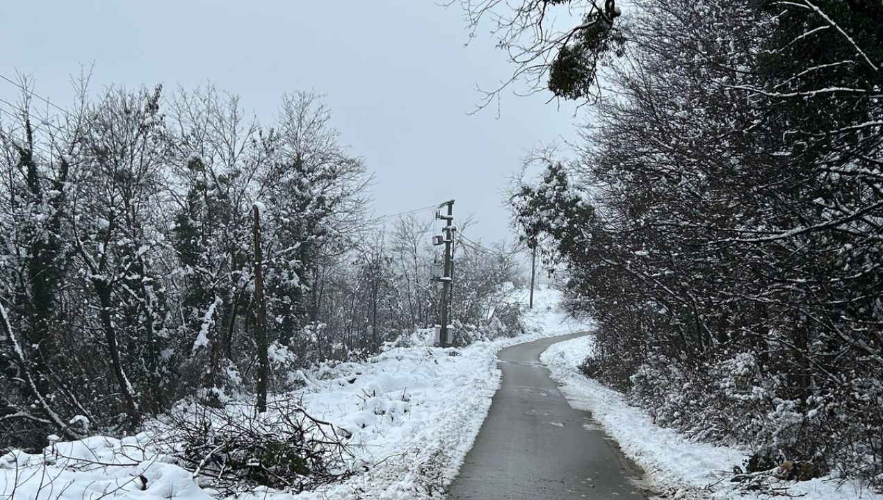 Izpad elektrike v Halozah