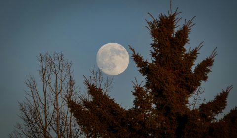 Hladna polna luna v dvojčkih