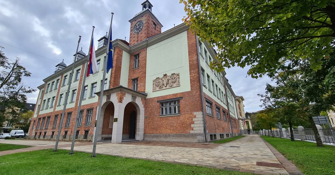 razpis za veleposlanike