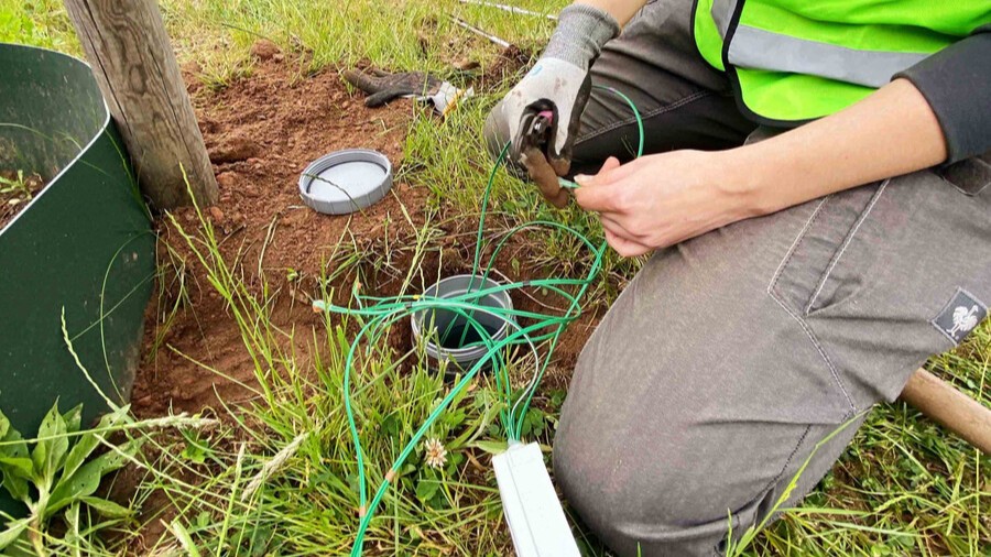 Kaj so 'pametna drevesa' ki jih preizkušajo na Dunaju?
