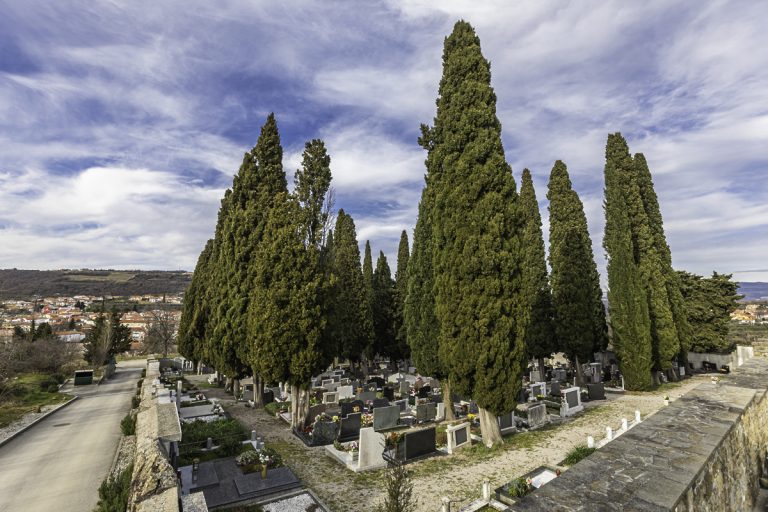 pokopališče Škofije