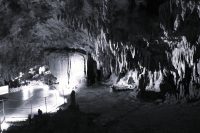 Tragedija v Škocjanskih jamah