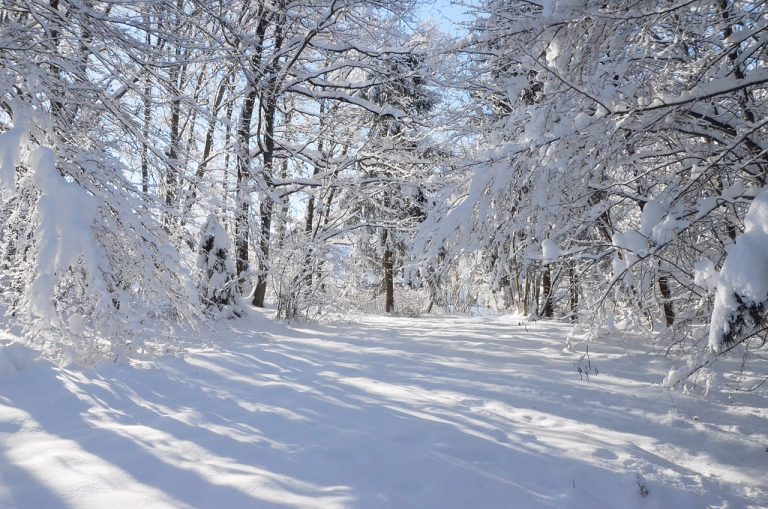 Začetek zime brez snežne odeje, se nam že kmalu obetajo snežinke?