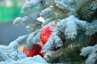 Bomo za božič imeli sneg?