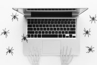 Pred letom 2000 je prišlo do množičnega strahu, da bo "virus" sesul svetovni splet (fotografija je simbolična).