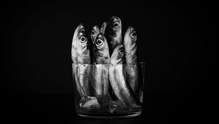 tuna sardine zaščita