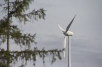 Afera vertnica: Razpis najverjetneje oddan vnaprej