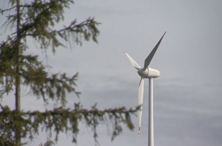 Afera vertnica: Razpis najverjetneje oddan vnaprej