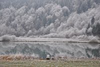 Vremenska napoved za mesec december 2025