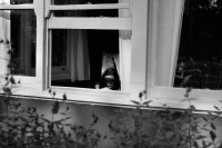 Samomori v Sloveniji