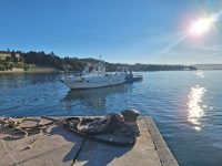 Danes bo Primorska na boljšem - biovreme razkriva, zakaj