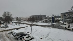 domači trik odmrzovanje šip 1