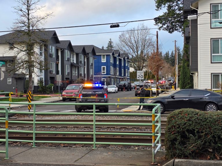 agent ICE streljal na dve osebi