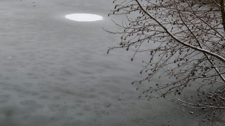 V Ljubljani se je vdrl led, dve mlajši osebi padli v vodo