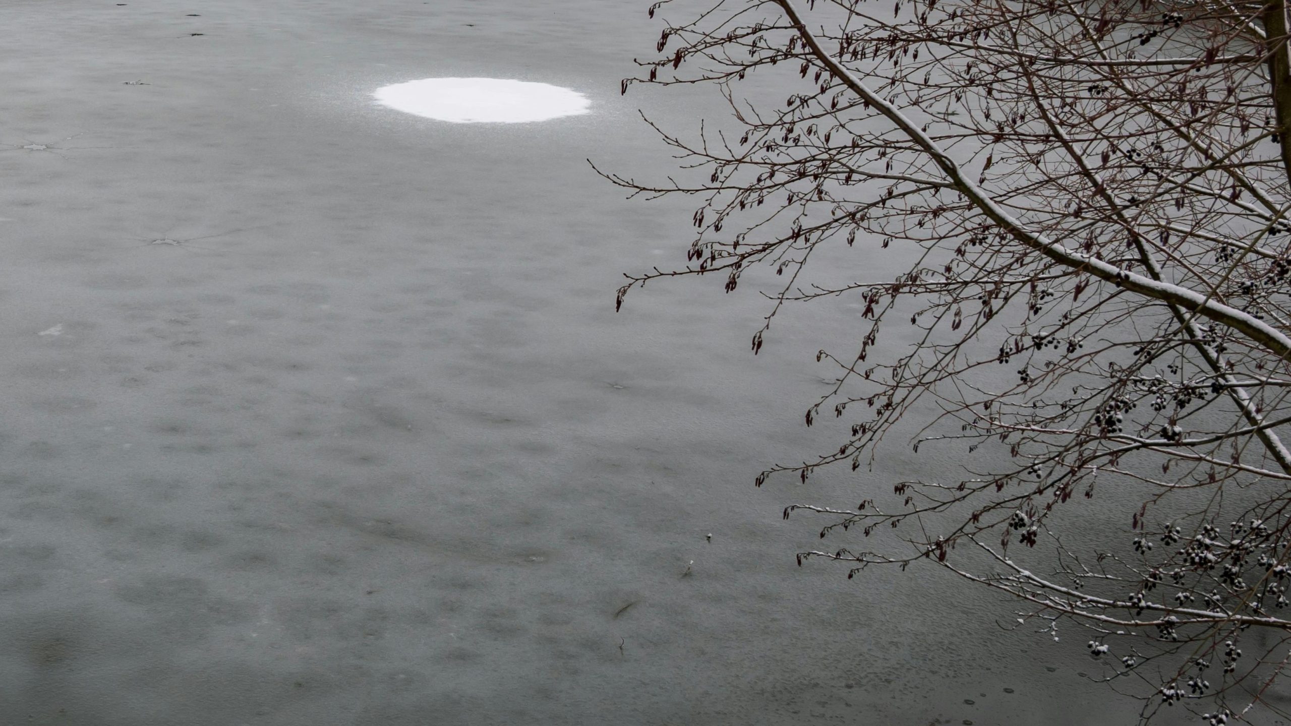 V Ljubljani se je vdrl led, dve mlajši osebi padli v vodo