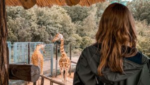 skrivnosti živalski vrtovi