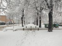 Glasujte: Si to zimo še želite povratek pravega zimskega vremena?