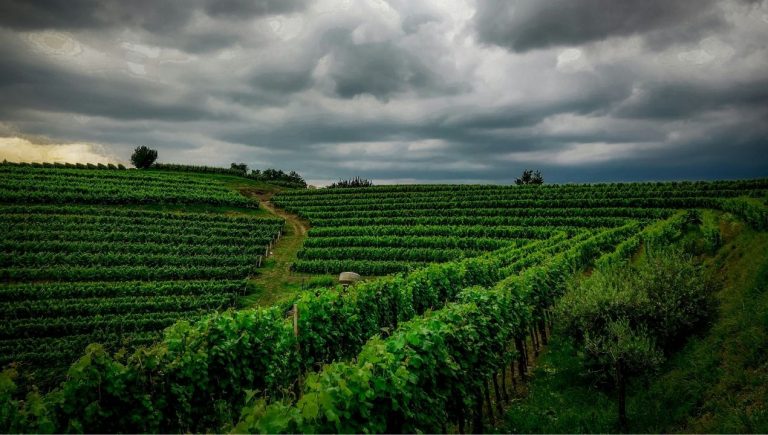 turizem Slovenija 2025