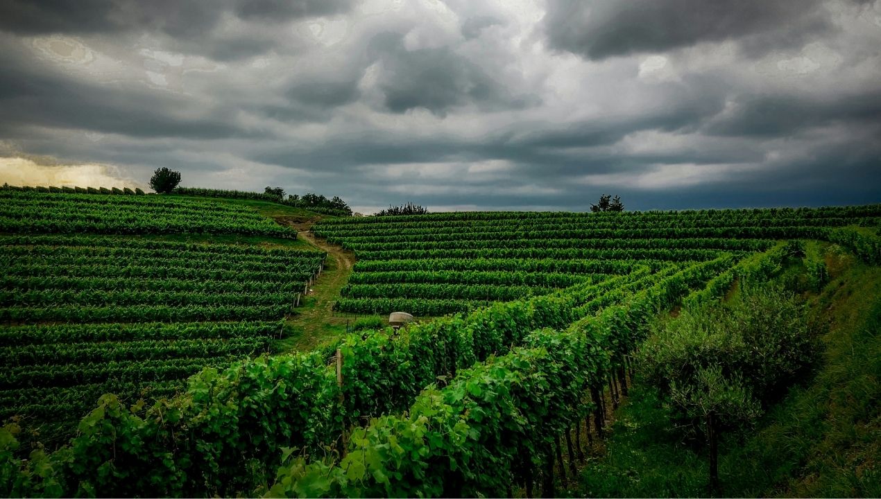 turizem Slovenija 2025