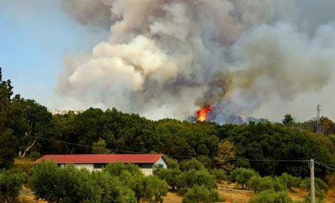Zaradi izjemnih razmer v Sloveniji razglasili veliko požarno ogroženost