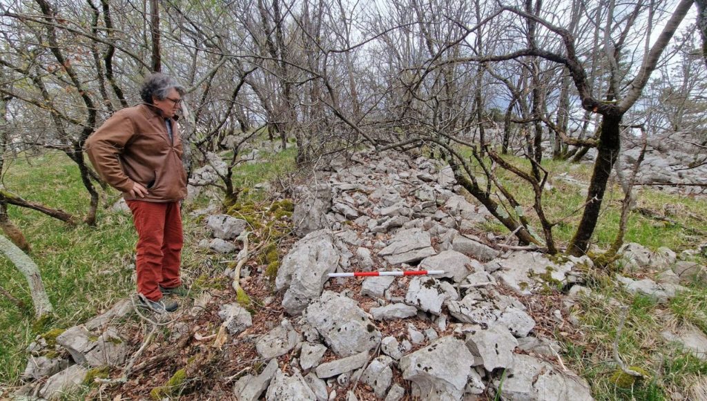 Prazgodovinske lovske strukture na Krasu