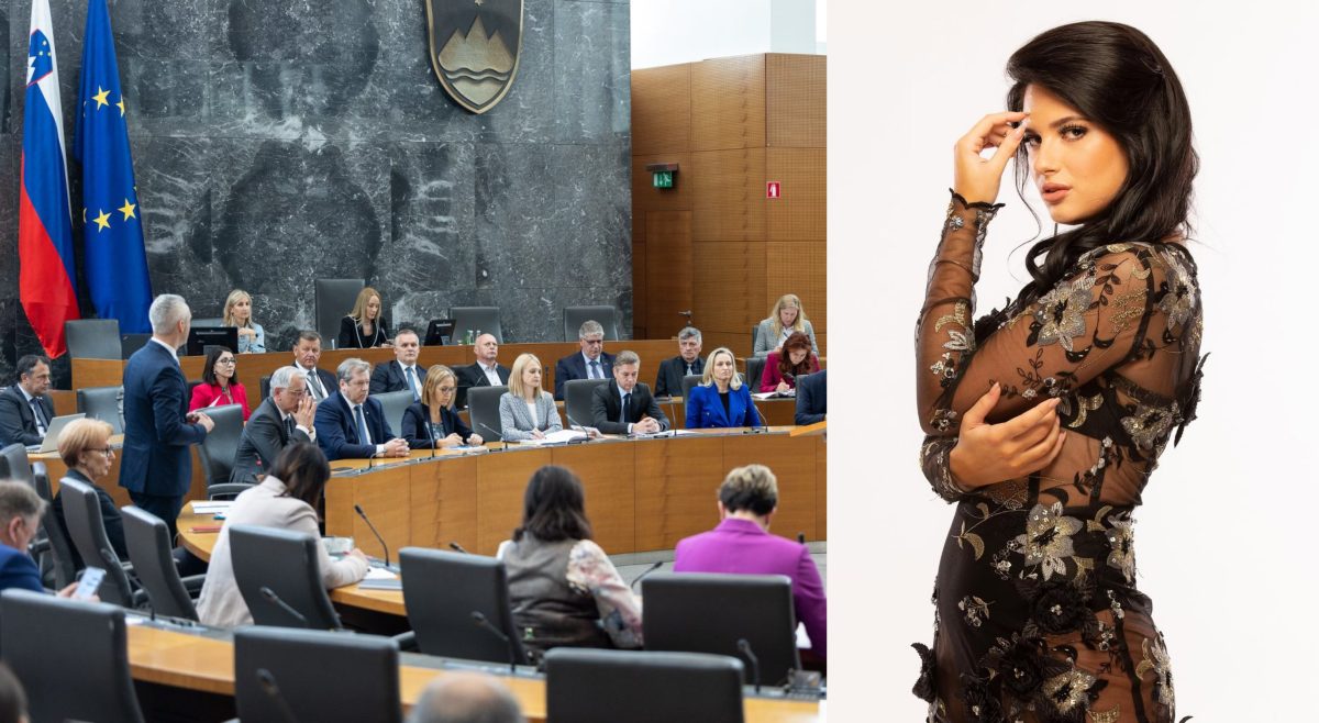 Ana Taks se podaja v državni zbor