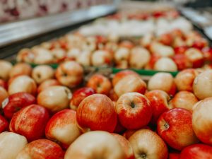 Pretresljive analize naših jabolk: 71 odstotkov jih vsebuje vsaj en nevaren pesticid