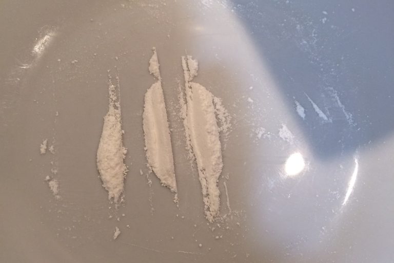 Minister za zdravje snifal kokain s straniščnih školjk.