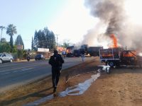 nasilje v Mehiki po smrti El Mencha