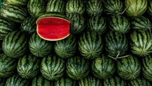 izbira sadja in zelenjave