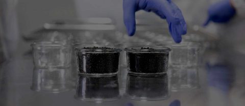 Ekološki kaviar, Riofrío