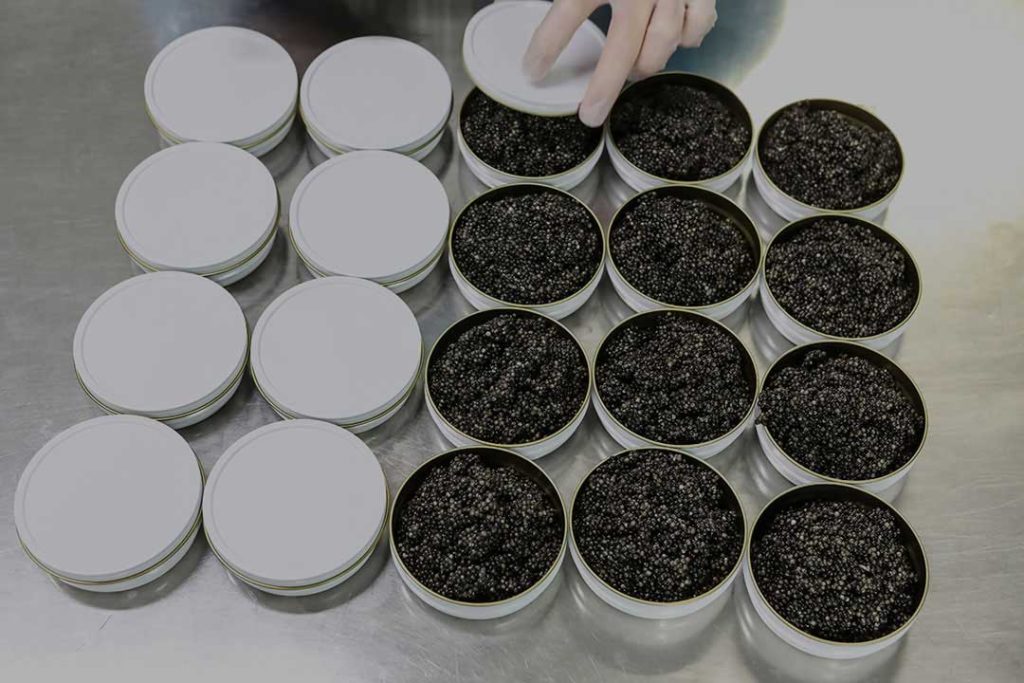 Ekološki kaviar, Riofrío