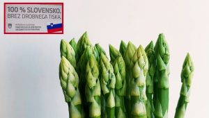 slovenska zastava na živilih