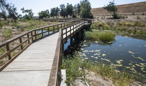 Otroci v parku iskali jajčke, našli pa človeško lobanjo