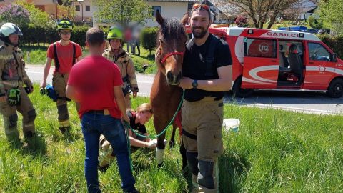 Foto: Gasilska enota Ribnica