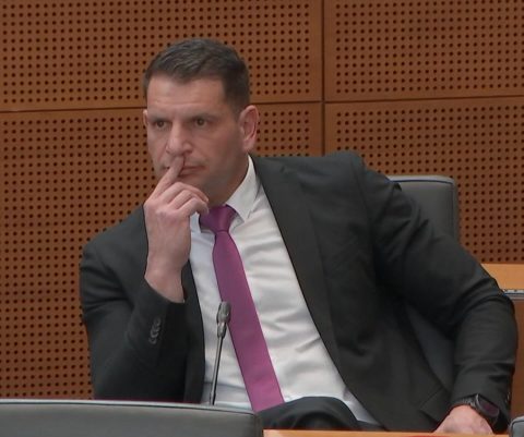 Stevanović udaril po 'levem polu'