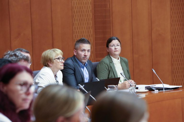 Kdo želi kupiti poslance? S prstom kažejo na levi politični pol in državna podjetja