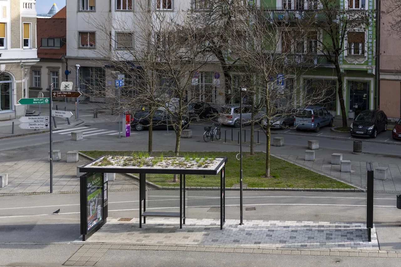 maribor ozelenitev