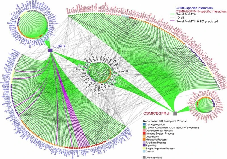 Hrvaški raziskovalci do pomembnega odkritja
