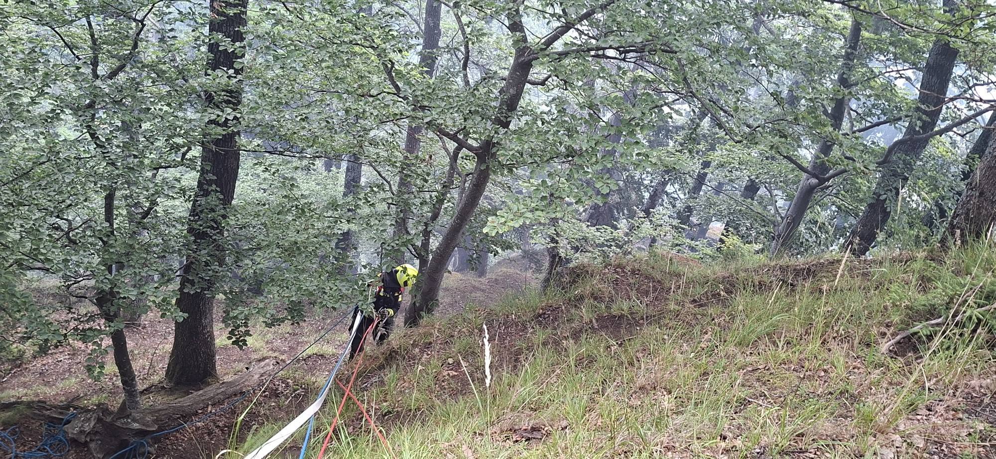Velik gozdni požar nad Slovensko Bistrico: Na pomoč helikopter, poti so zaprte